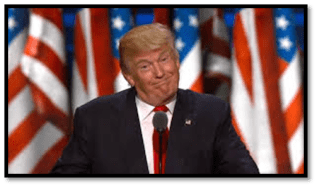 New Picture (19).png